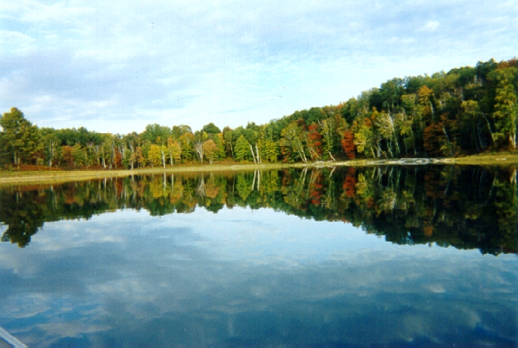 Wetzel Lake Park1